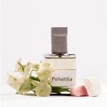 پولساتیلا - Image 3