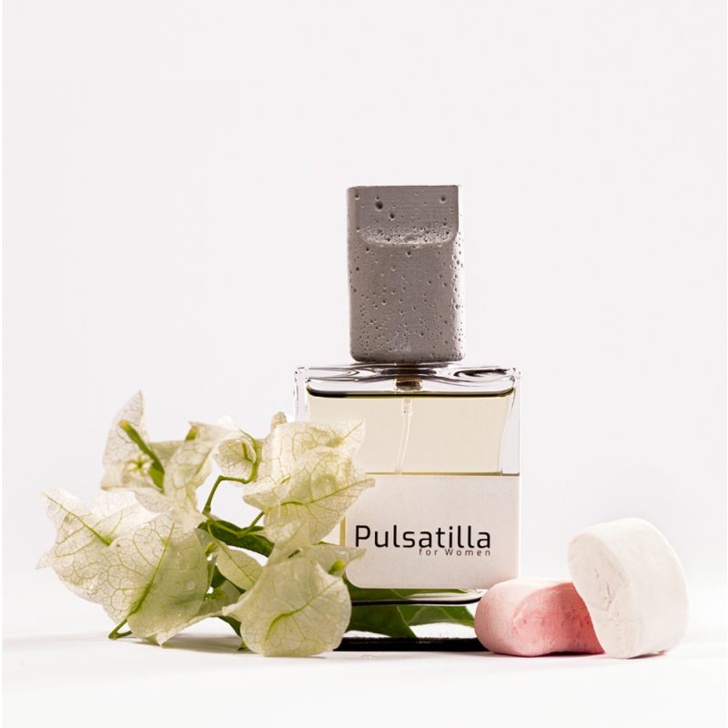 پولساتیلا - Image 3