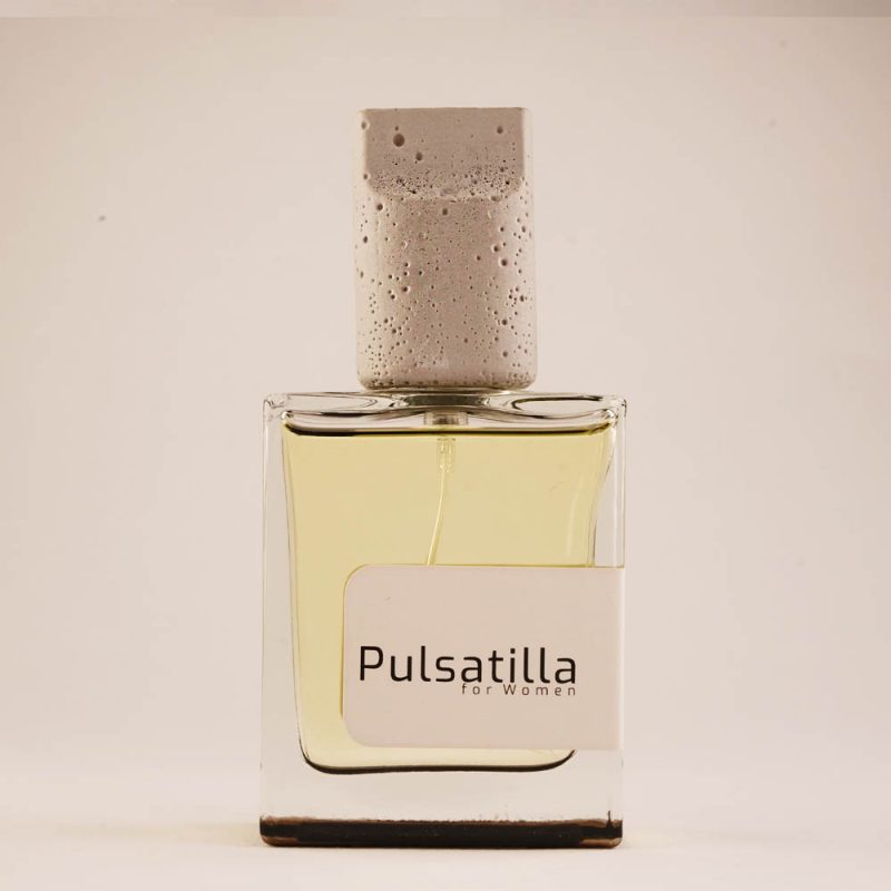 پولساتیلا - Image 2